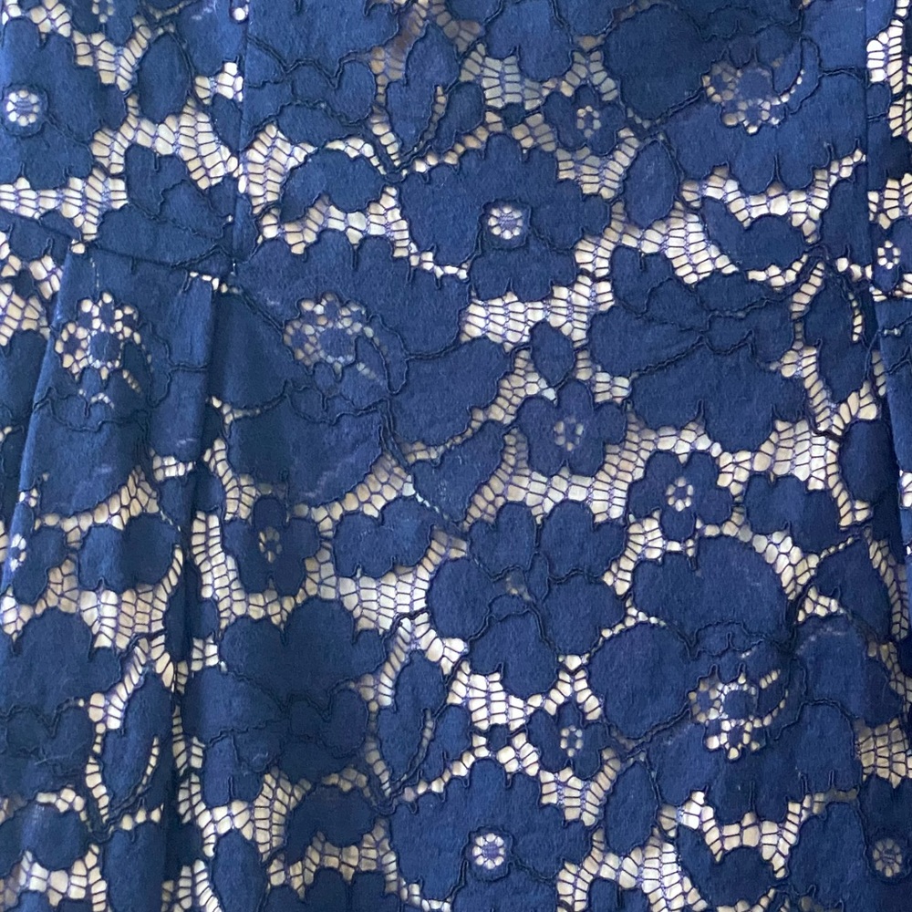 Pretty Lace Overlay - Picture 6 of 10
